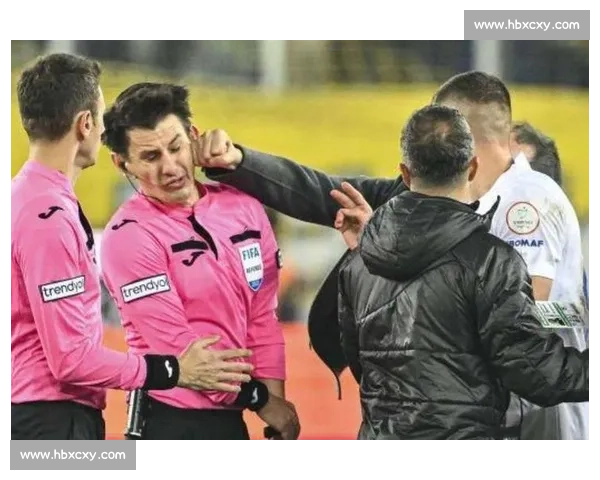 意裁协坐实误判：国米点球冤案，主裁边裁停哨